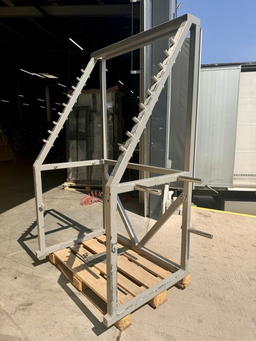 Technogym squat rack