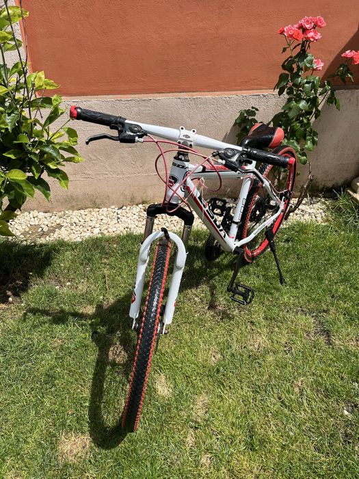 Bicicleta mtb rosie