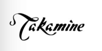 Chitara Acustica Takamine GD10-NS + Husa