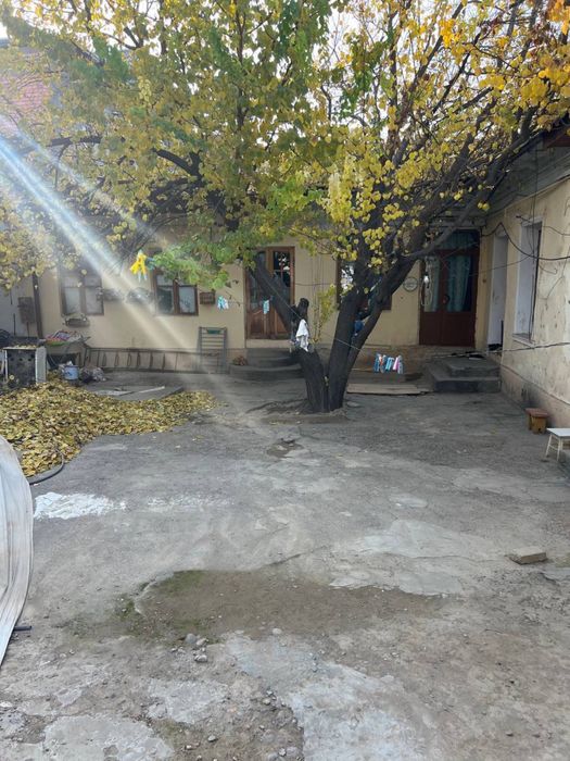 N5581 Uchtepa tumani Beshqayragoch 2,26 sotix