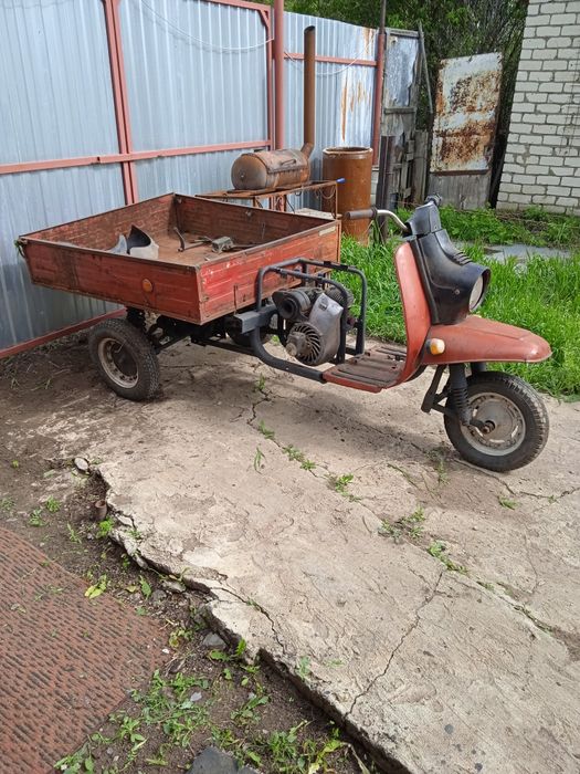 Продам муравей .