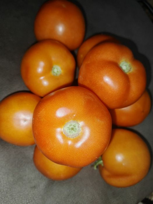 Продам Помидоры .