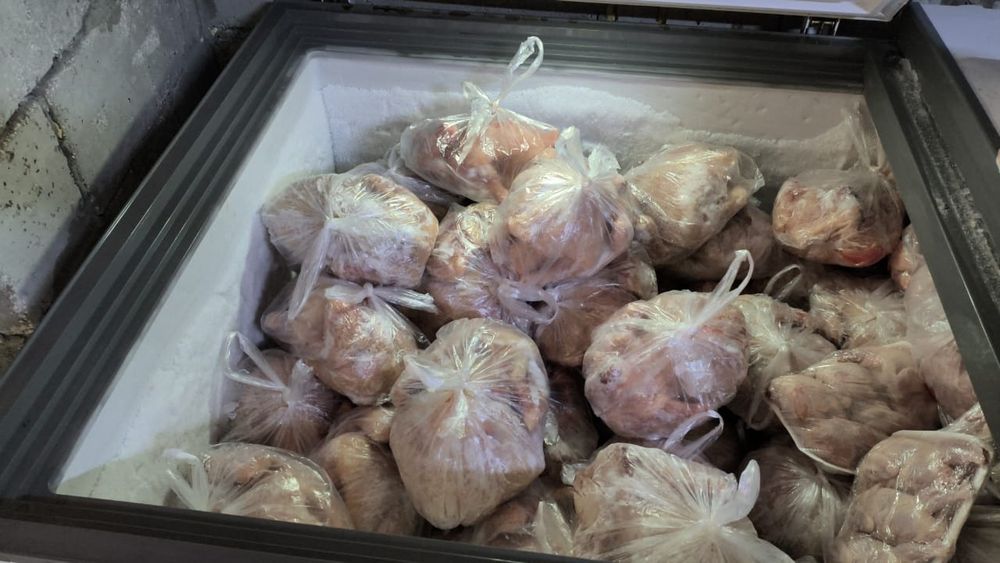 Бройлер мясо птицы окорочка бройлера тушки құс еті тауық еті