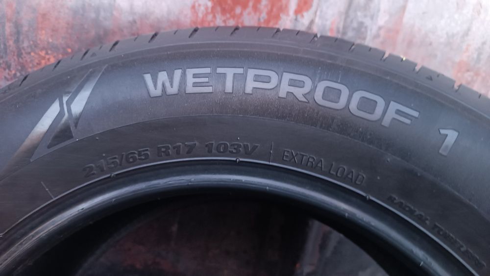 215/65/17 Nokian Дот 0424