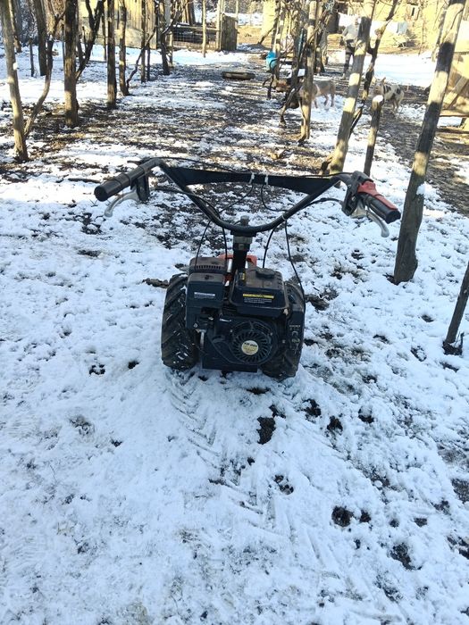 Vând cositoare  funcțională