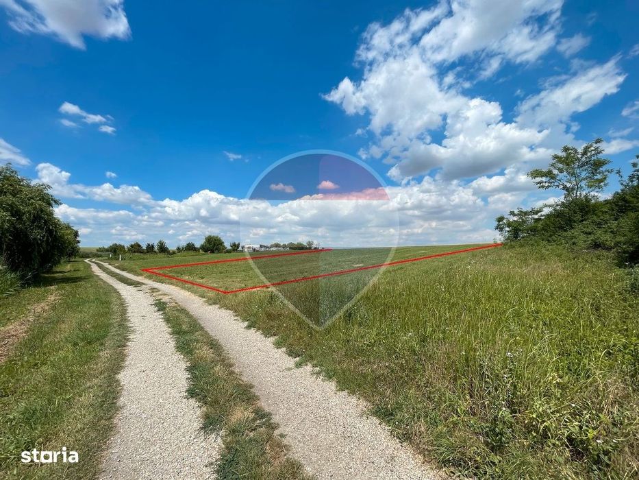 Teren 4.350 mp langa Balta Pasarea, Frumusani