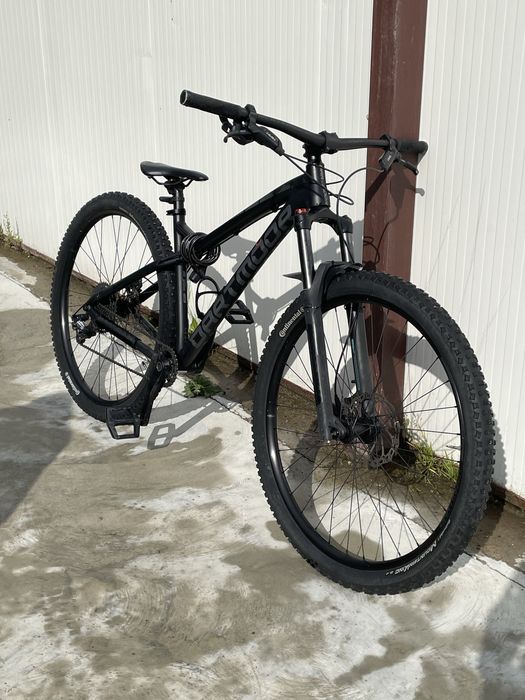 Dartmoor Primal, 29"