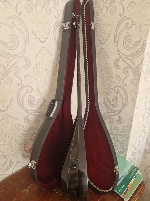 Электронный домбро