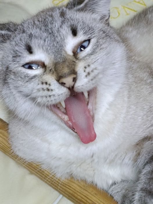 Слава ждёт своего человека.