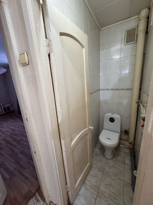 Отдам бесплатно