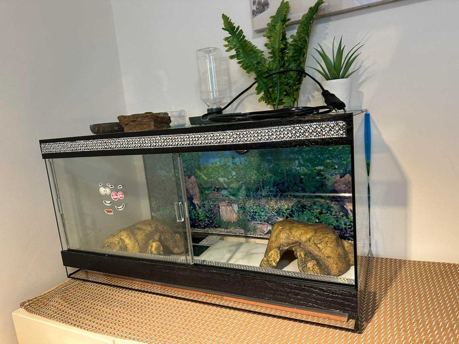 Терариум за гекон/гущер 60х30х30 с 2 нагреватея, купички и укрития