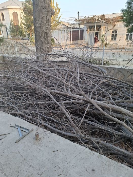 Утинлар сотилади