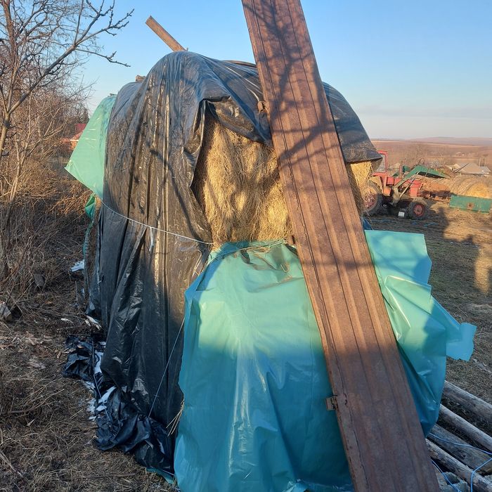 Vând baloti mari și mici