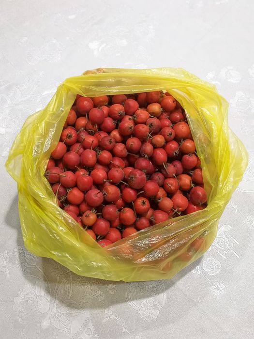 ПРОДАМ Боярышник