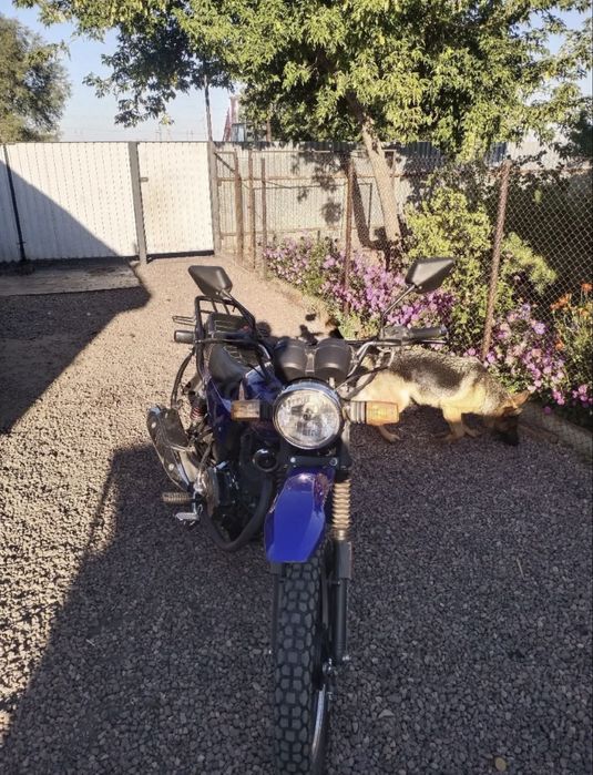 Мотоцикл Qyran 150