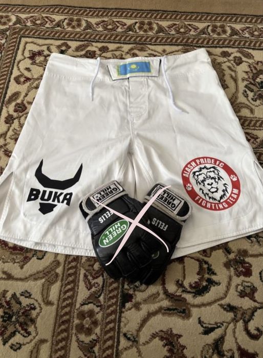 Шорты alash pride