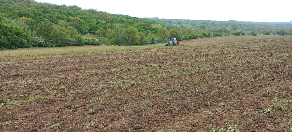 Продава се Земеделски имот в Варна, Базар Левски -  кв.м за 1275 €/дка - Снимка #3