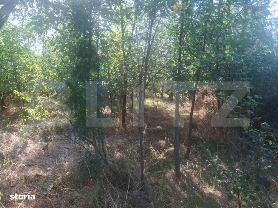 Teren extravilan de vaznare, 5000 mp, zona Matasaru
