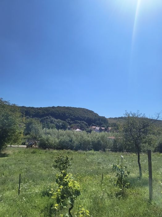 Teren casa investiție cabana poienița