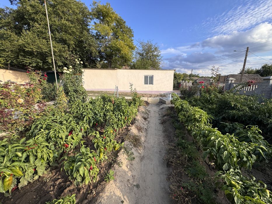 Casa de vanzare plina de viata! Nu ratati aceasta ocazie!