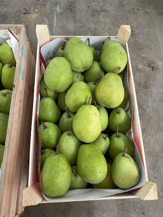 Vind mere Polonia calitatea extra