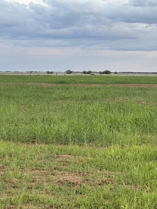 Продается КХ !!!