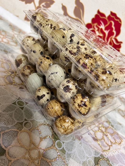 Ouă de prepeliță (Japoneză,Gigantă Polară,Jumbo Gold)