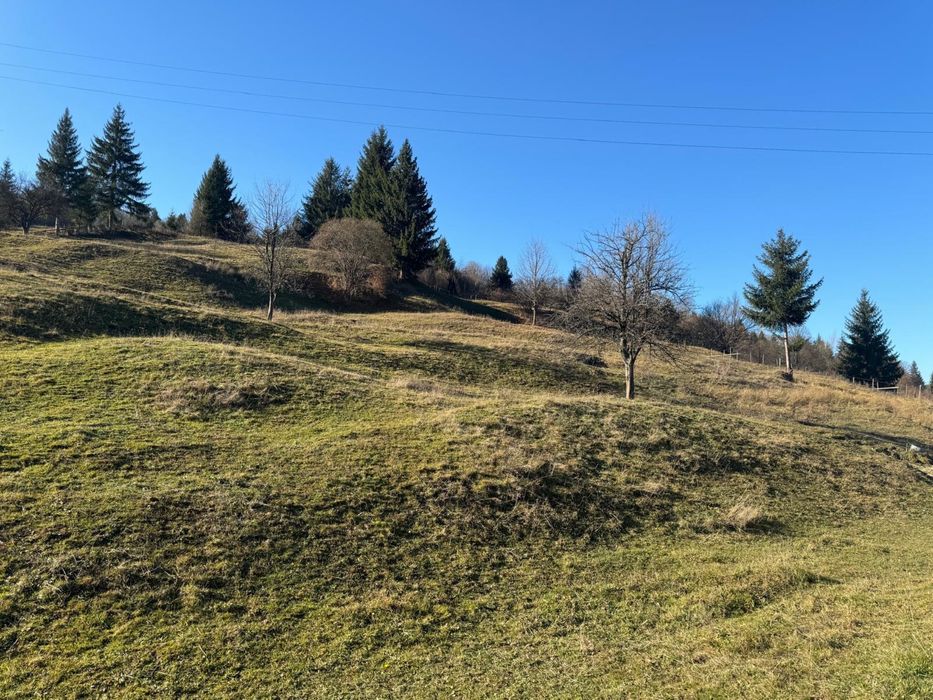 Teren de vanzare -Vama, 13.050 mp, Strâmtura