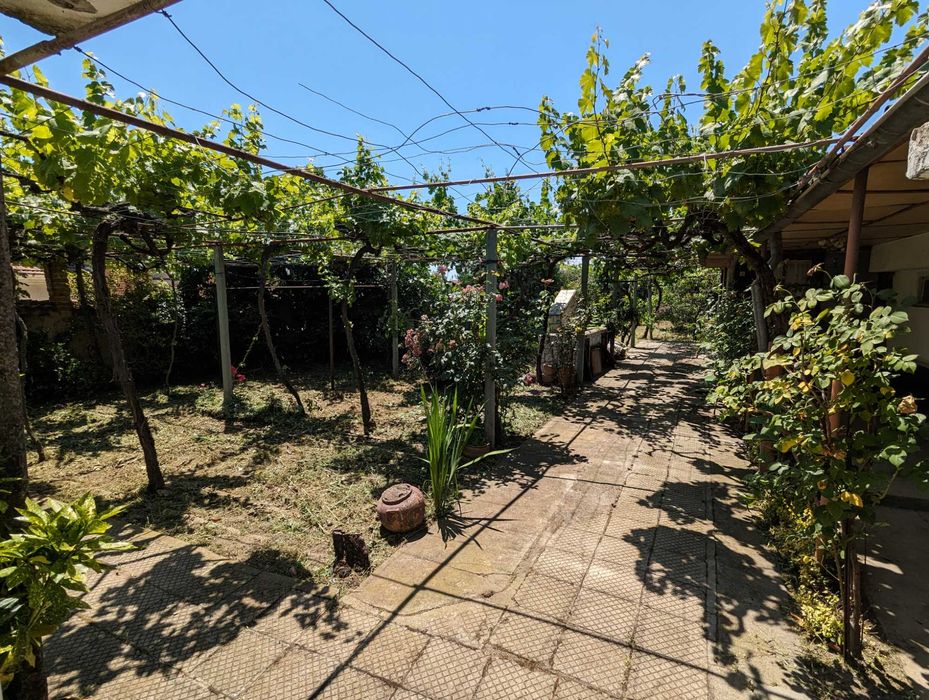 Почистване и поддръжка на дворове, градини и външни пространства.