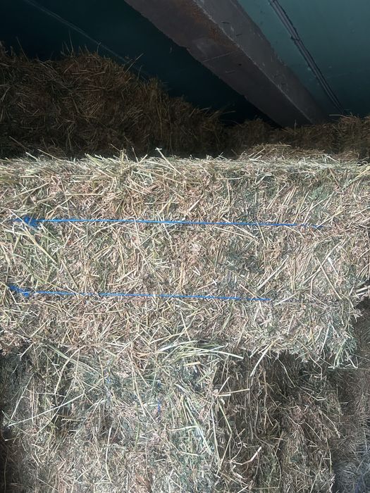 Vand baloti de lucerna curata fara iarba