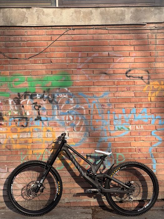 Canyon Sender 2024 L 29