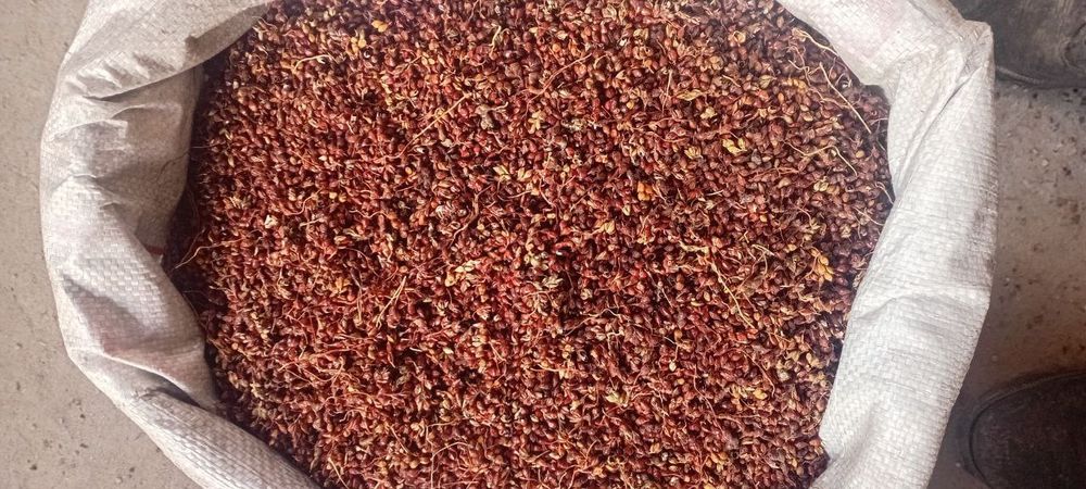 Don va yem mahsulotlari