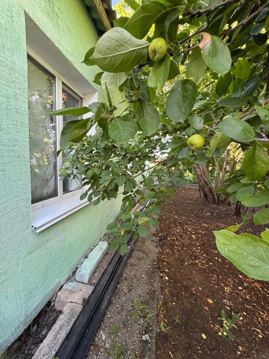 Уютный теплый дом