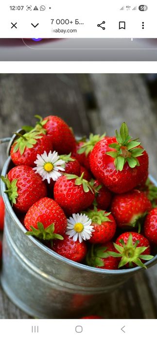 Продам ягоды клубники дачной.сладкой .набираю предзаказ..