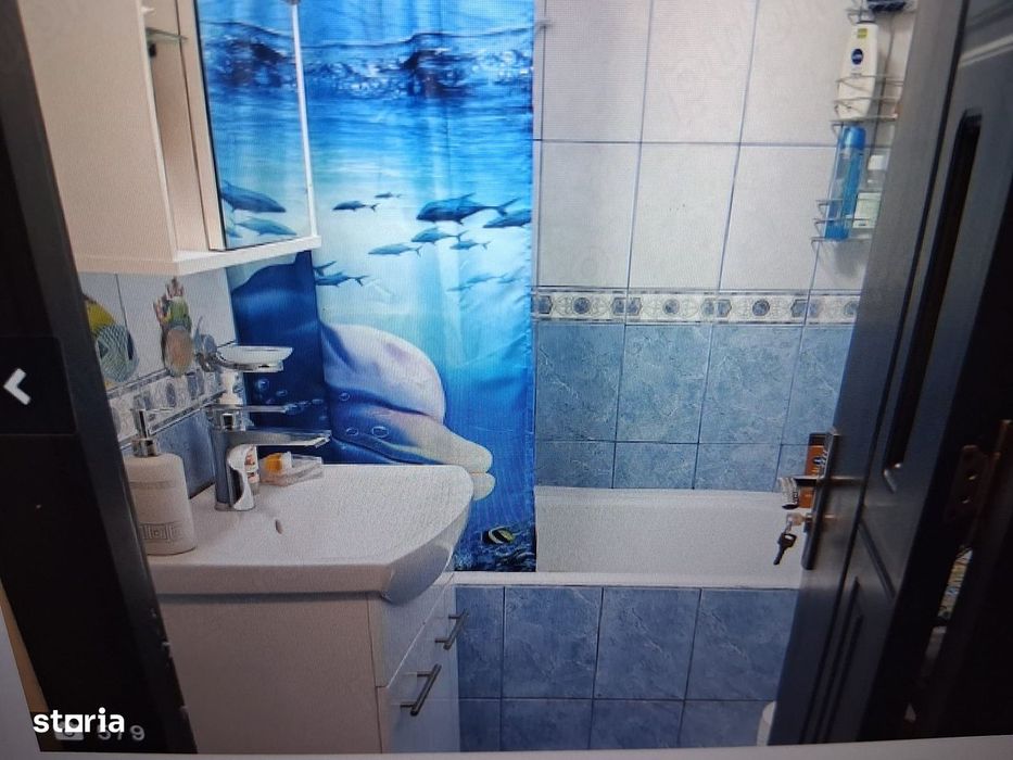apartament 2 camere teiul doamnei