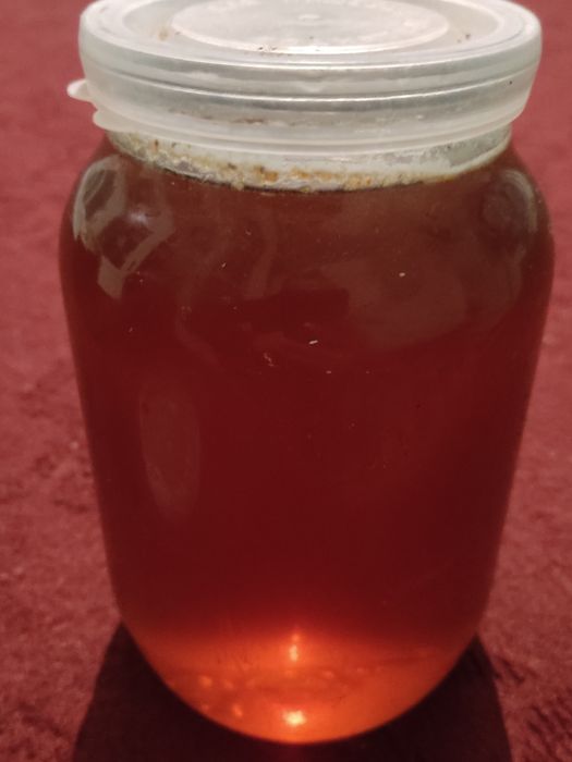 Tozza tabbiy tog asali