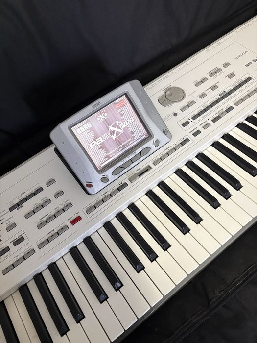 Vand korg pa2x pro 256mb ram+husa