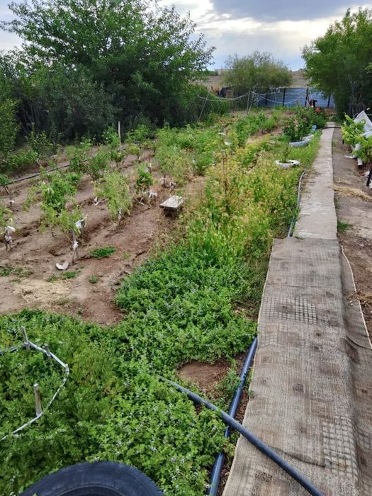 Пролается дача 10соток