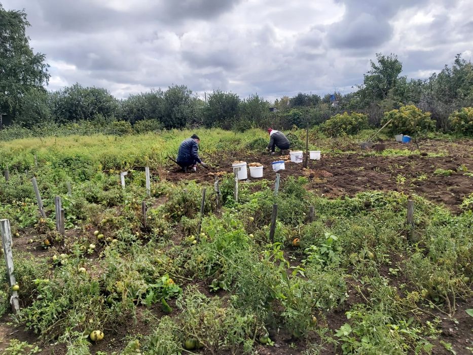 Дача, общество "Союз"