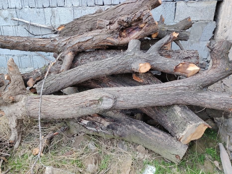 O‘tin sotiladi kirgilida