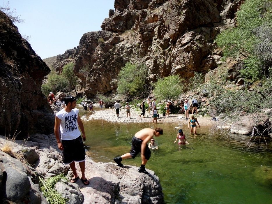 боевое САМБО - АРБ - ММА