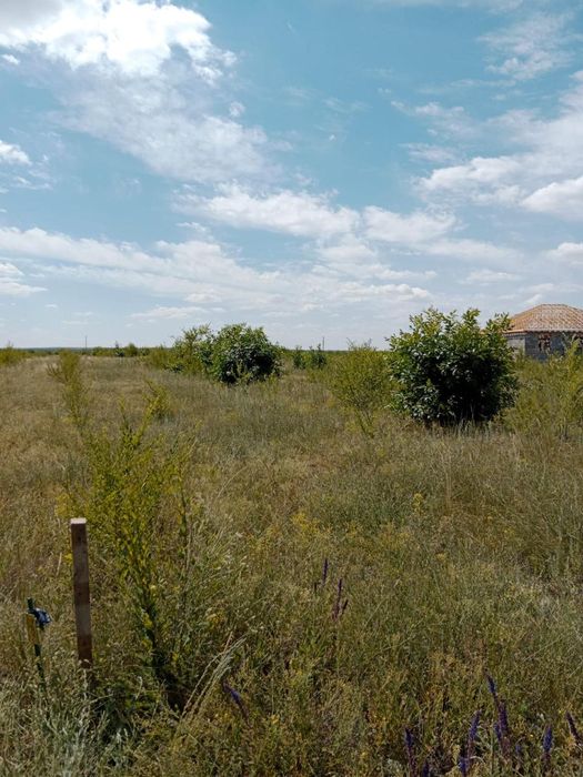 Земельный участок