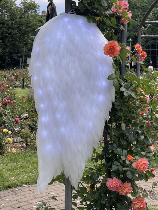 Крила за танци, шоу програми и фотосесии