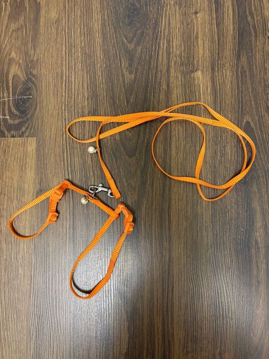 Ошейник для кошек