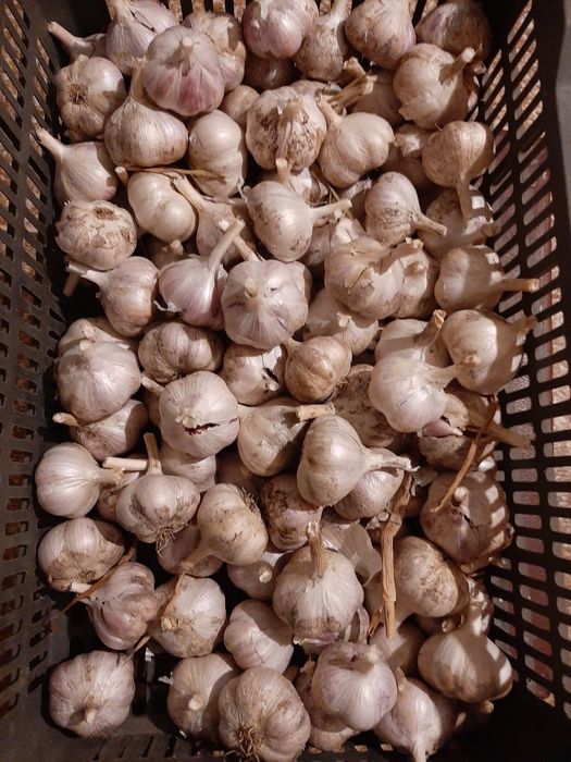 Дача в ПКСТ Текстильщик