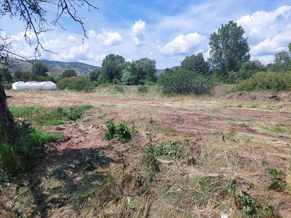 Дава се под наем Парцел в Сандански - 2500 кв.м за 800 € - Снимка #6