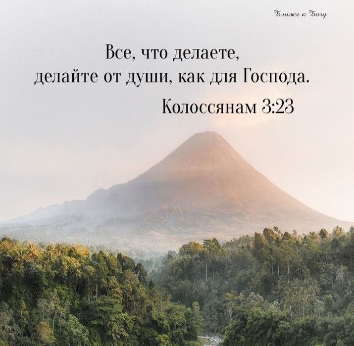 Чисто, быстро, окна, дом, квартира