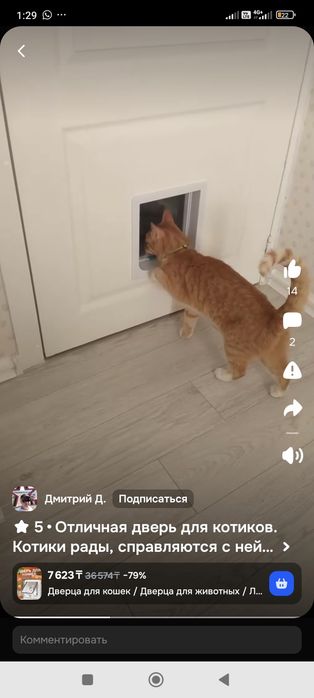 Дверца для кошек в дверь новая