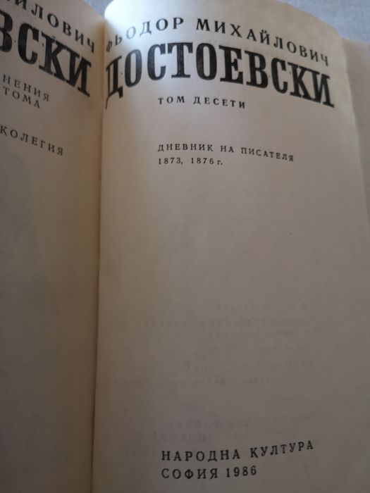 Достоевски, том 10, Дневник на писателя