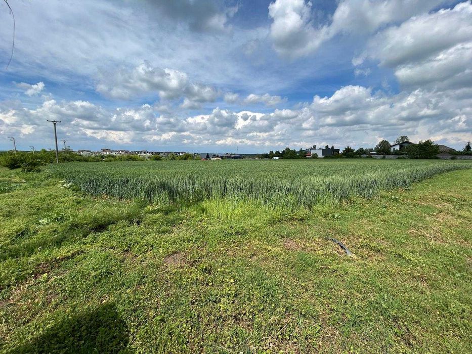 MOARA VLASIEI - NOD A3/PUZ/unic/90.000 mp